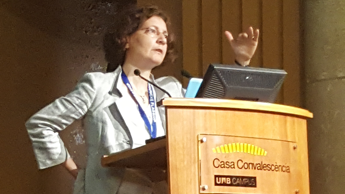 speaker at EU-Japan workshop 2017